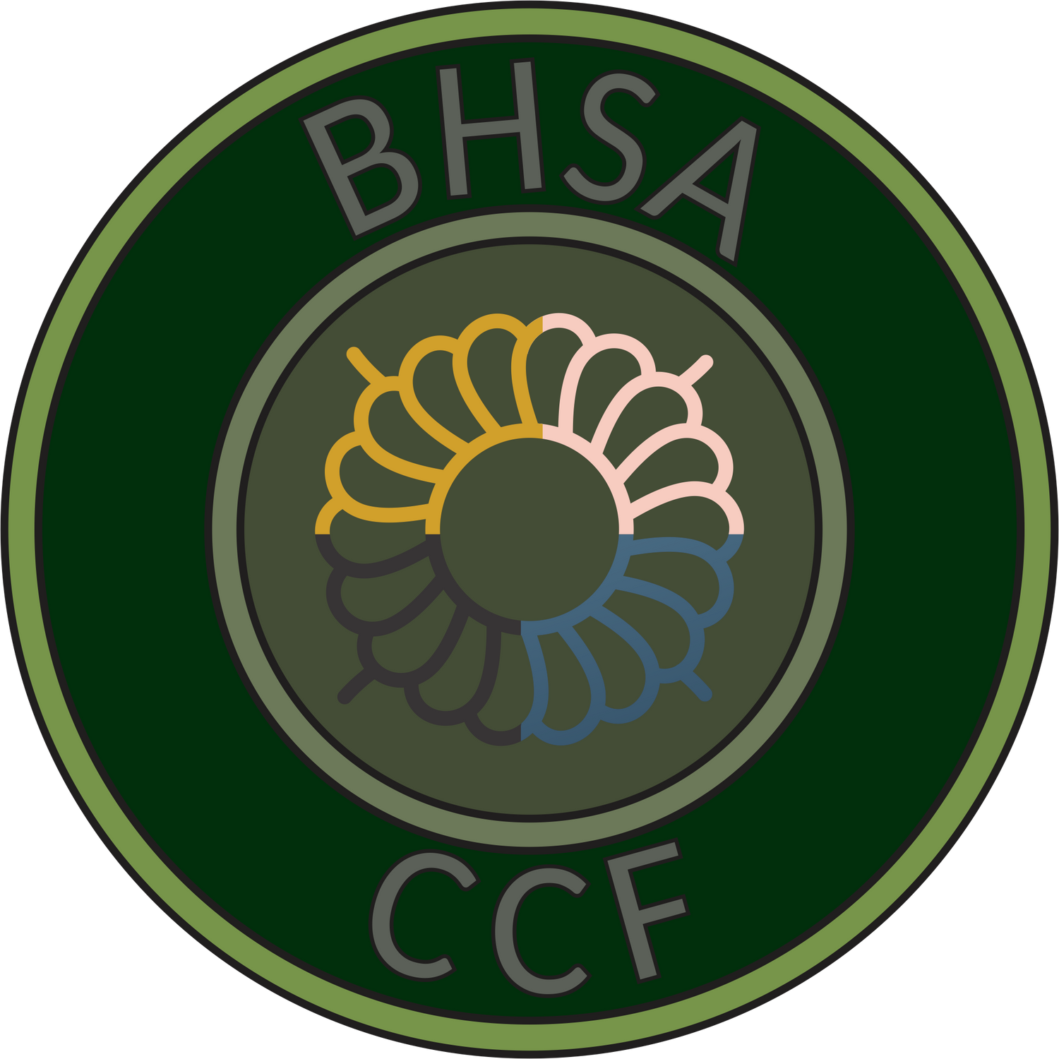 BHSA